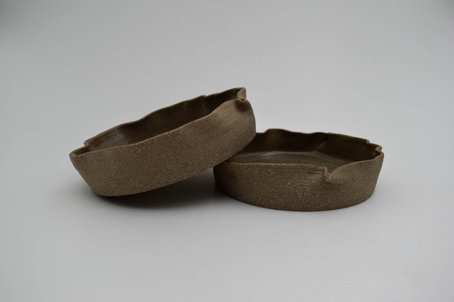 Bistro Plate | Earth