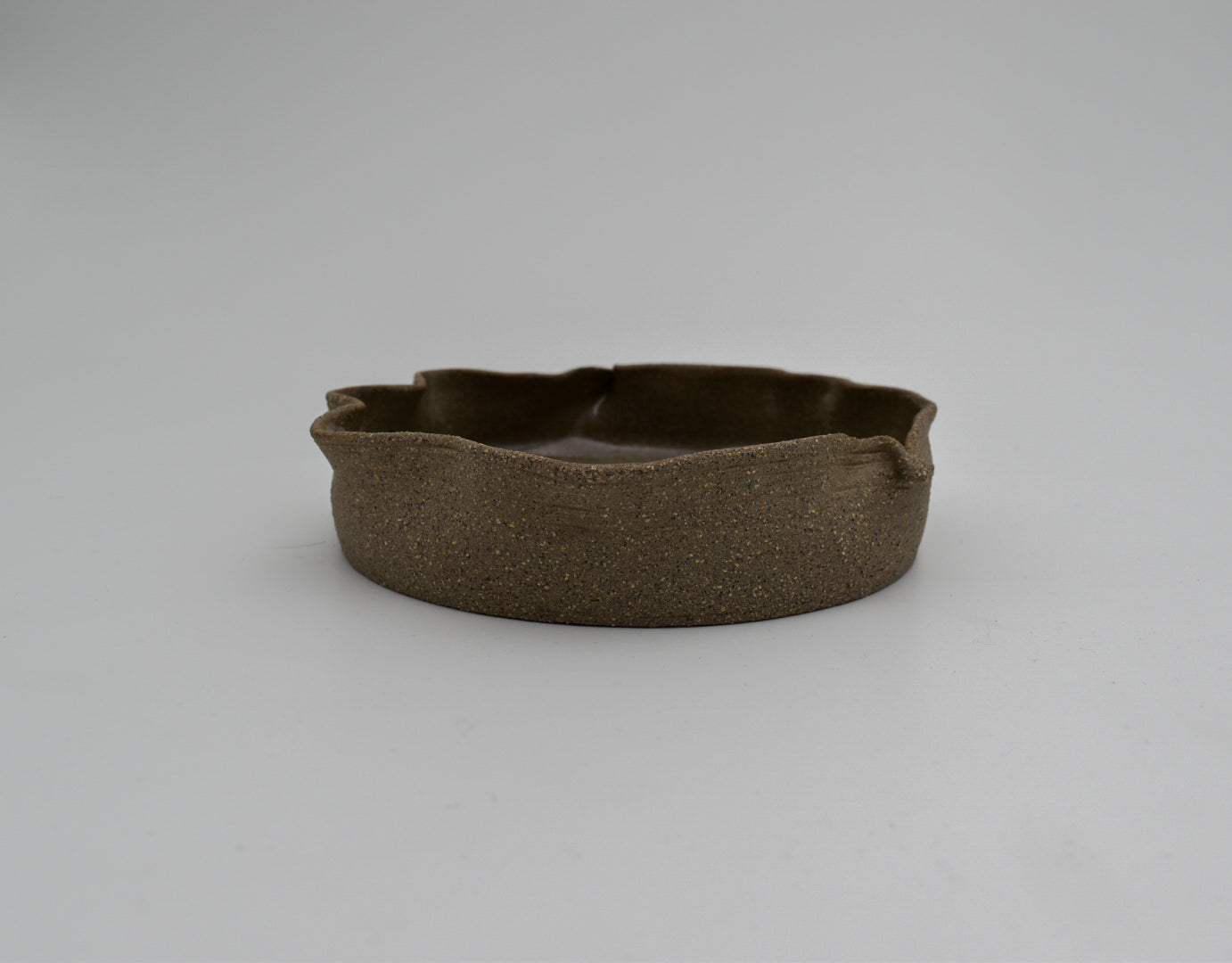 Bistro Plate | Earth